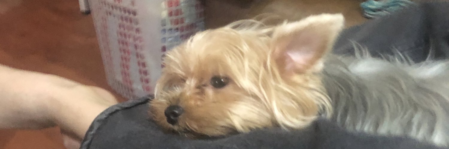 danrodelas's profile banner image
