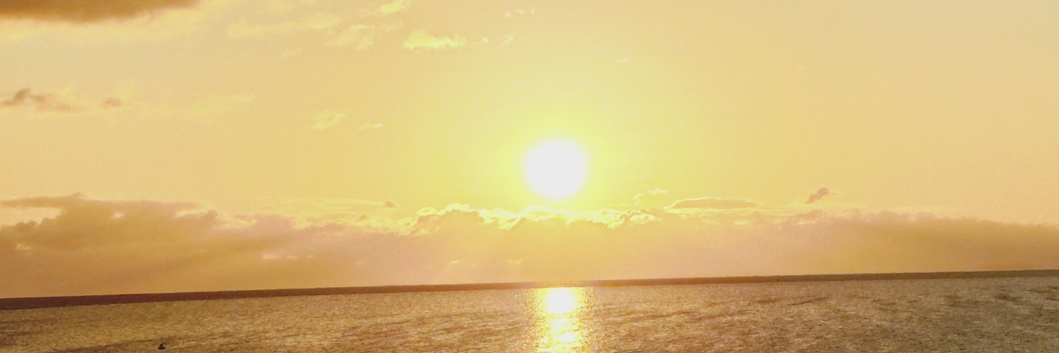 nanwanari's profile banner image