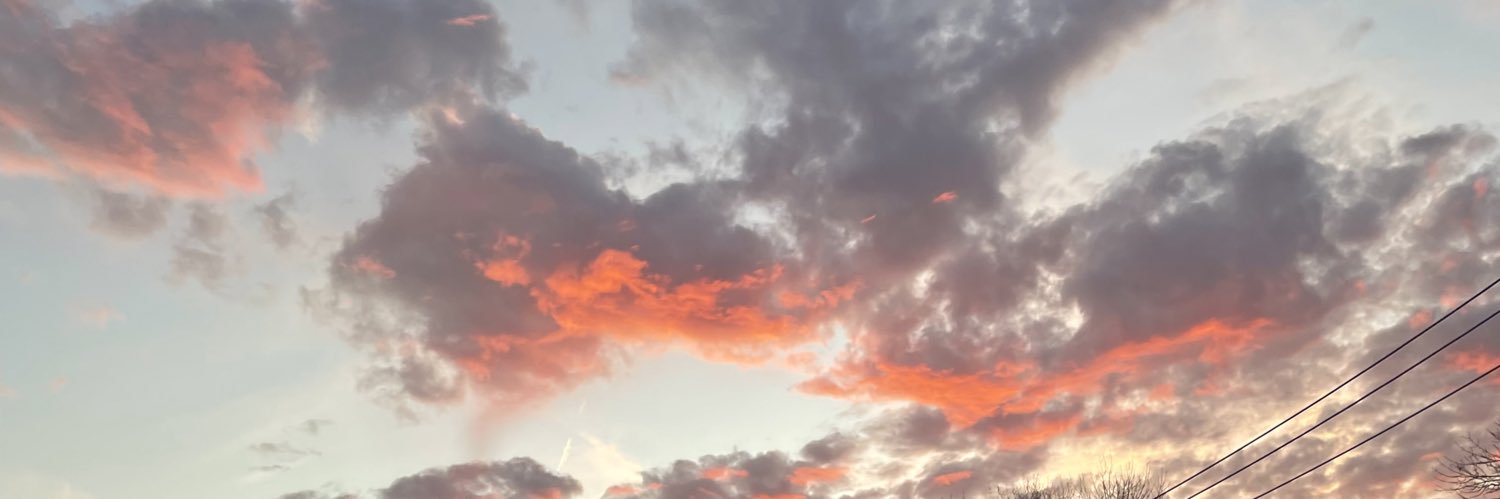 juliariendeau's profile banner image