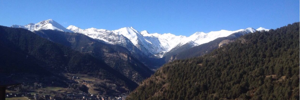 Joel Strachan banner