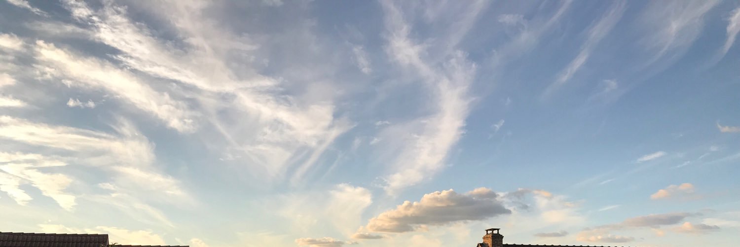 juciucci's profile banner image