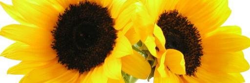 tcnnet's profile banner image