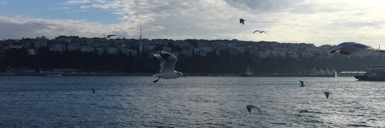 burak_tokatli's profile banner image