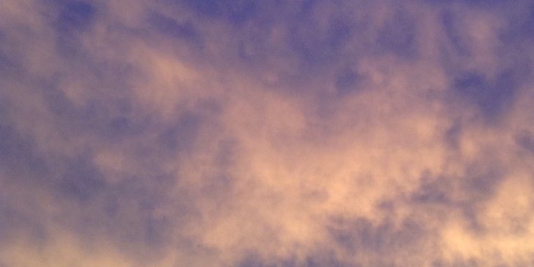 rocco_fans's profile banner image