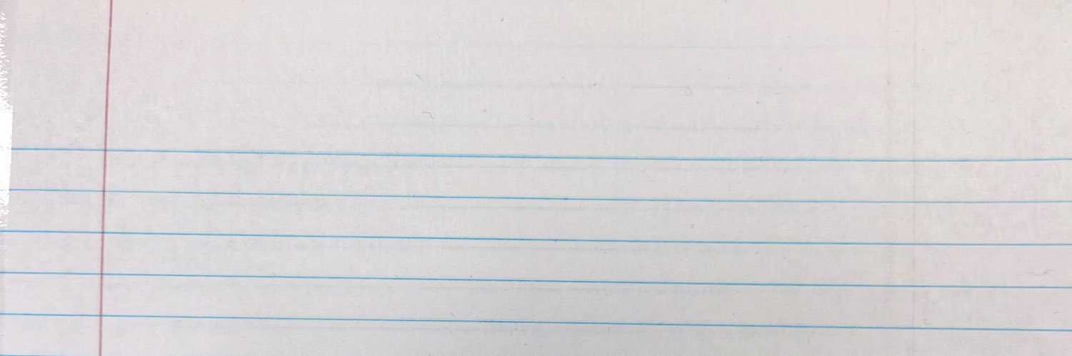 Emma Ford Larsen banner