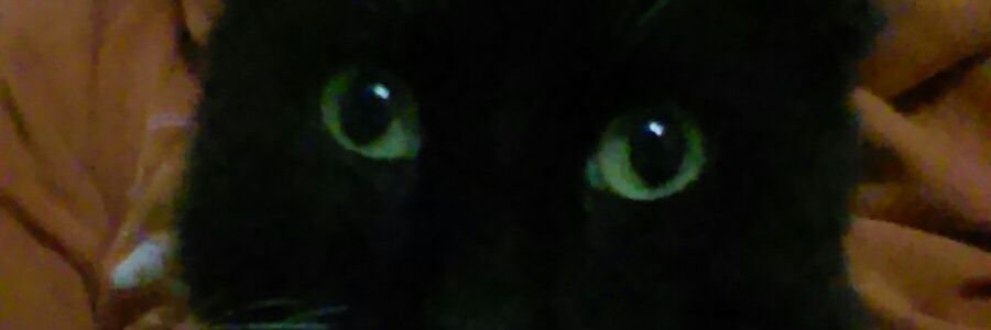 HuillcaSofia's profile banner image