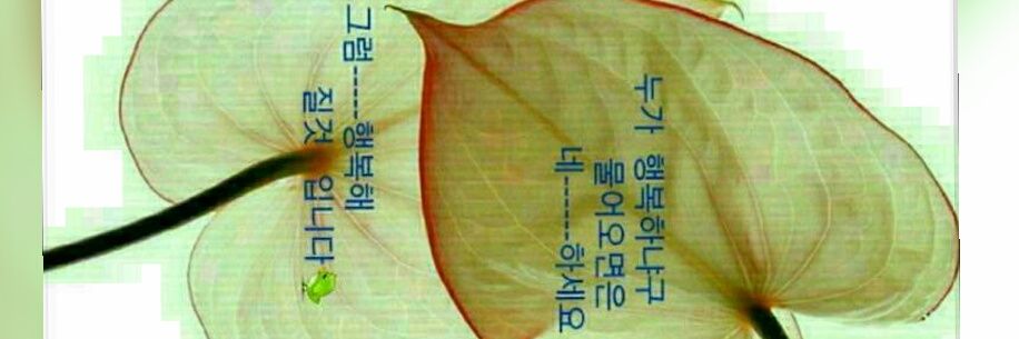 a63886305's profile banner image