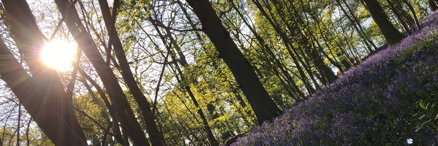 PhilipArkell's profile banner image