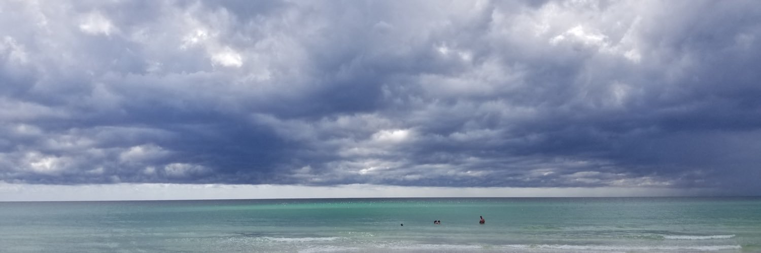 Chrissie Driskell banner