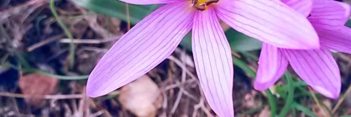 dhfaouzi's profile banner image