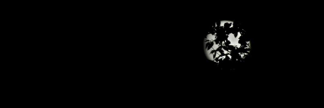 Martin_Dub's profile banner image