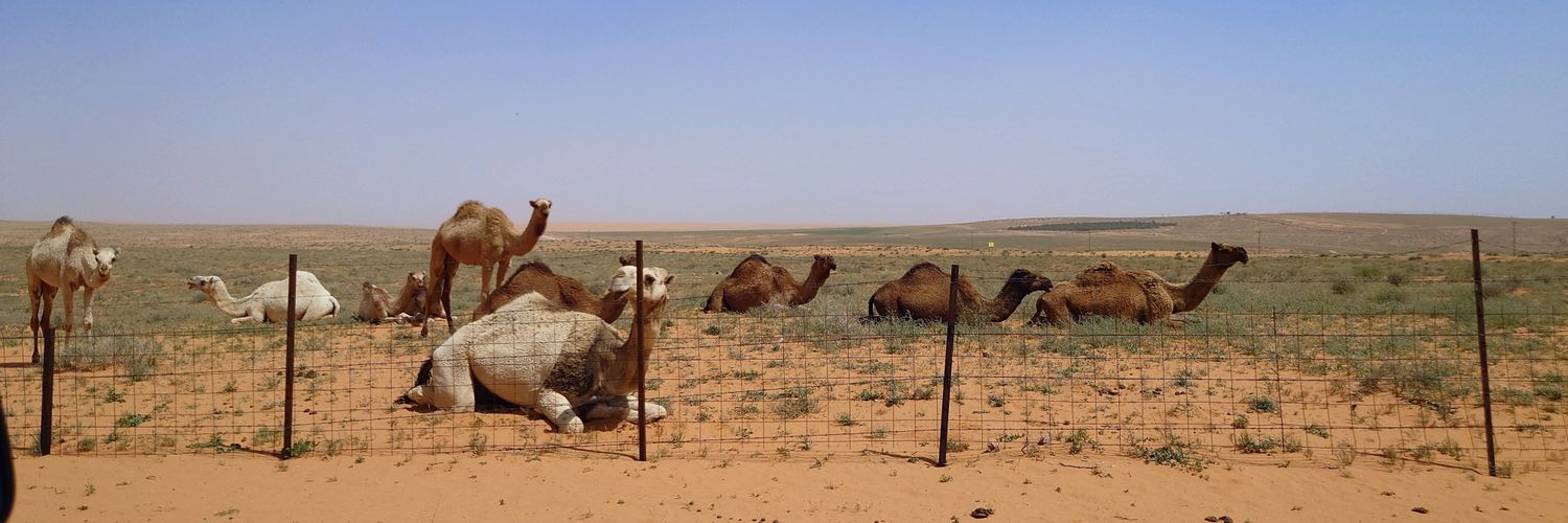 عبدالله banner