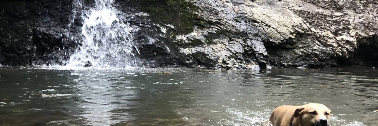 urfunnydood's profile banner image