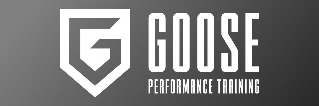 CoachGoose22's profile banner image