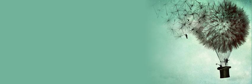 rveyda_s's profile banner image