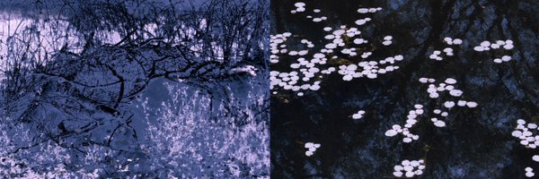 SolLapse Profile Banner