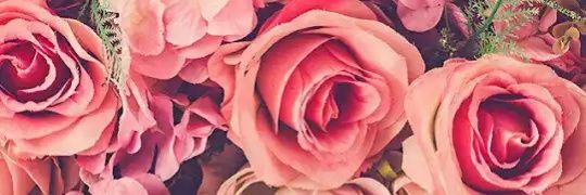 Bry_mtz23's profile banner image