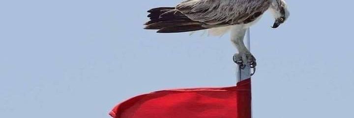 AsmHmuda's profile banner image