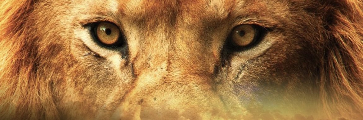 Kps73098's profile banner image