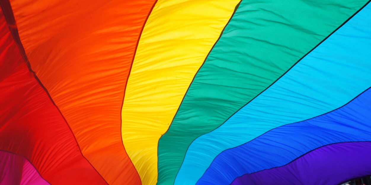 TVLGBT+ Police banner