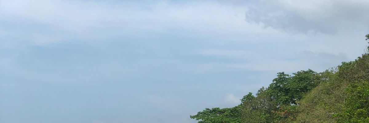 dinnadinn's profile banner image