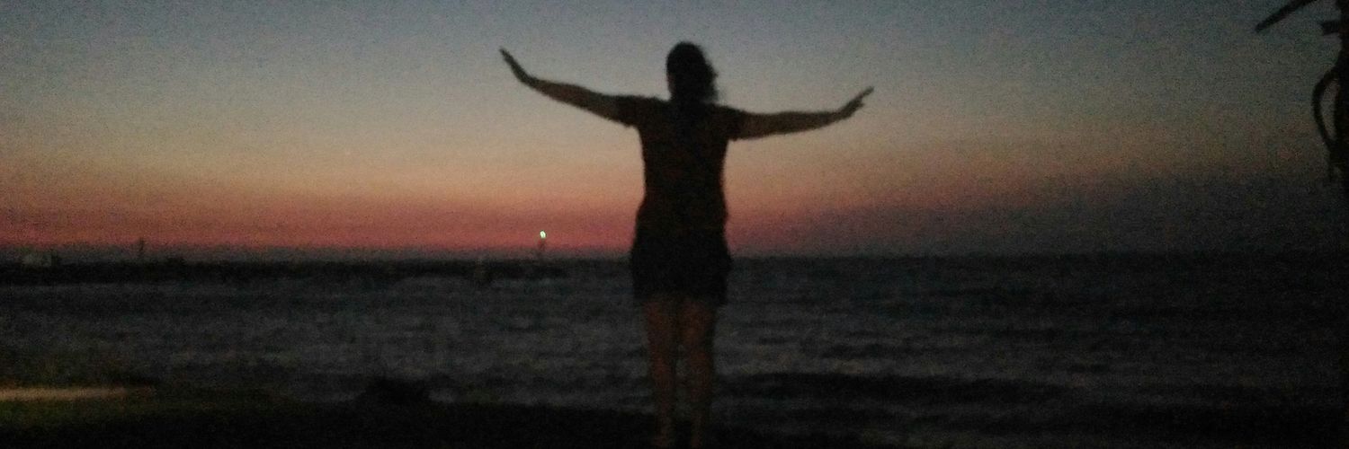 serecaccia's profile banner image
