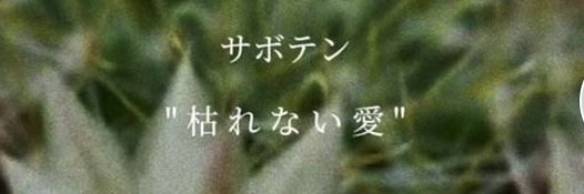 kaaa2_3do's profile banner image