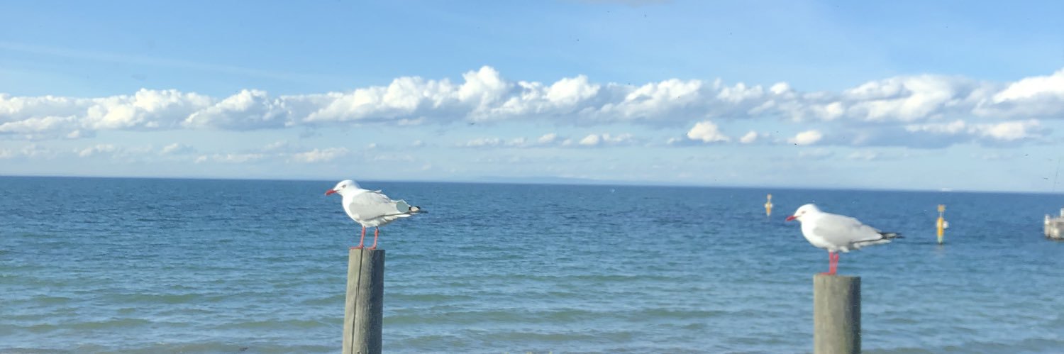 sjfarq's profile banner image