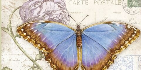 cutro_antito's profile banner image
