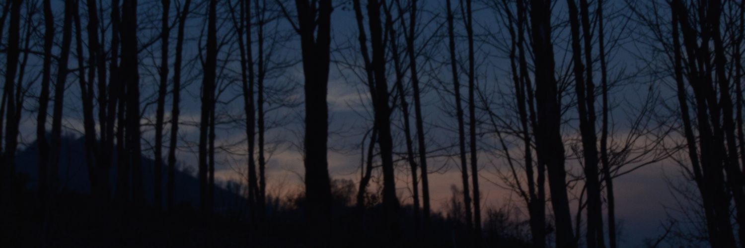 Mysterious_ROQ's profile banner image