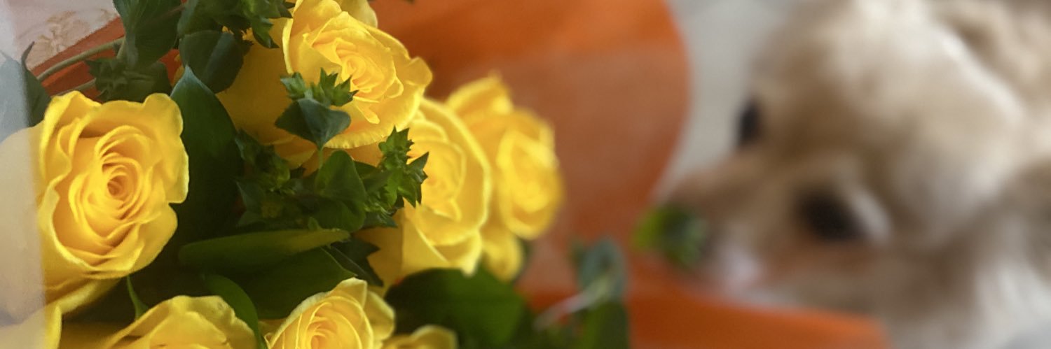 ittybittyemz's profile banner image