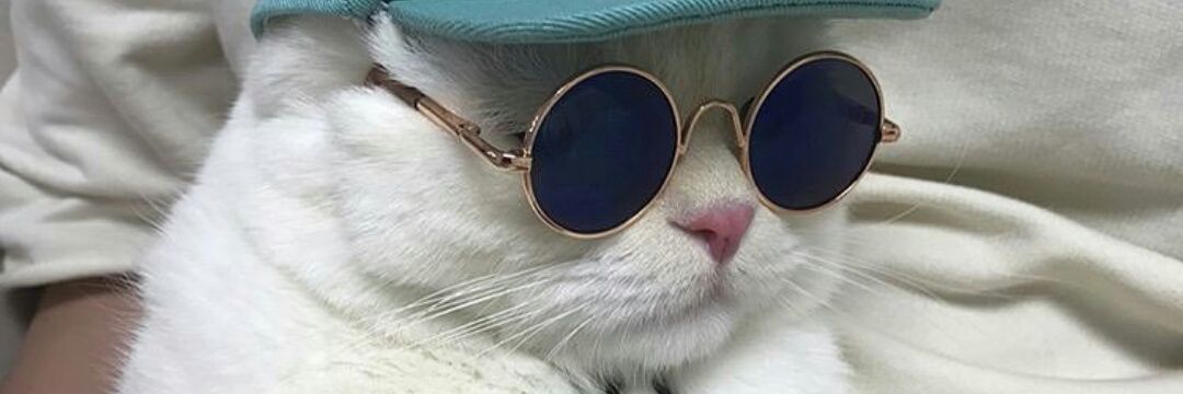 memes_RN's profile banner image
