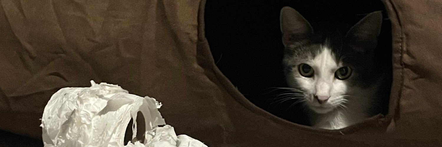 TheoReddinger's profile banner image