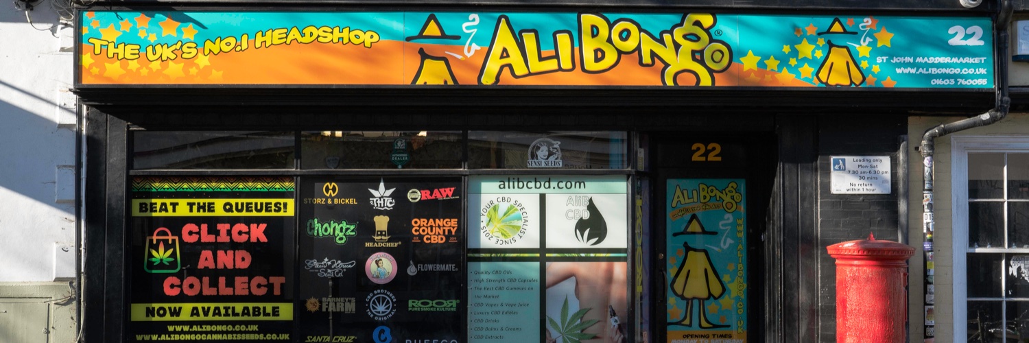 Ali Bongo banner