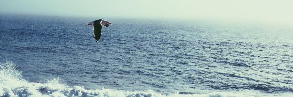 trose072's profile banner image