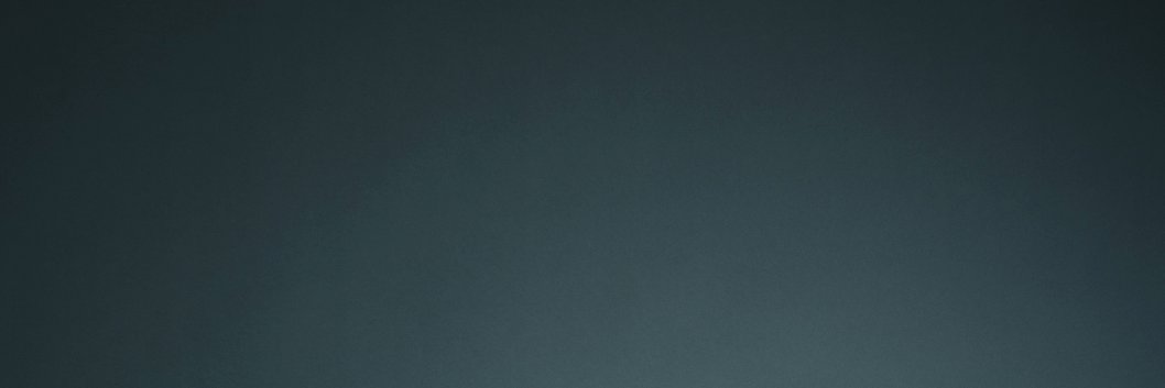 Luz S. Villamil banner