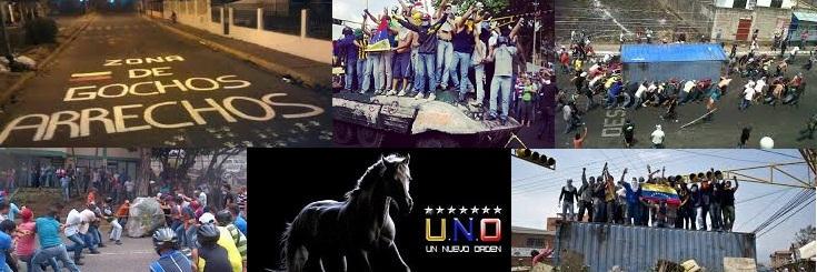 GOCHOS_unidos's profile banner image