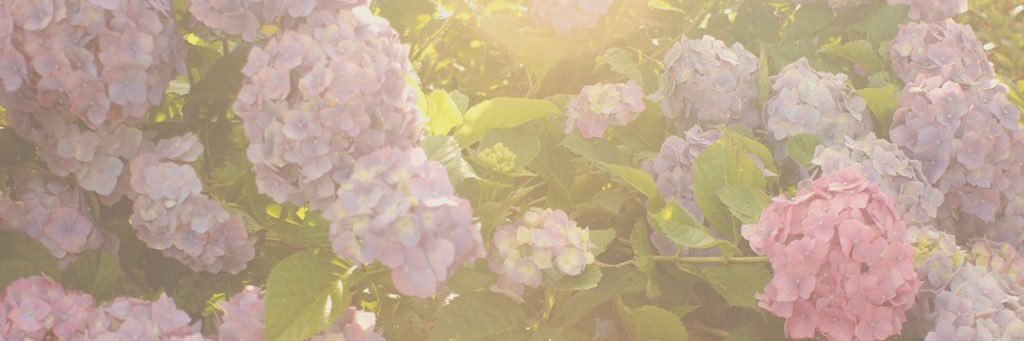 G310_r5's profile banner image