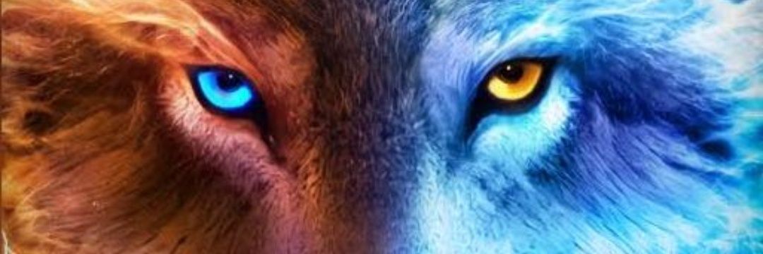 Ken_Toro1's profile banner image