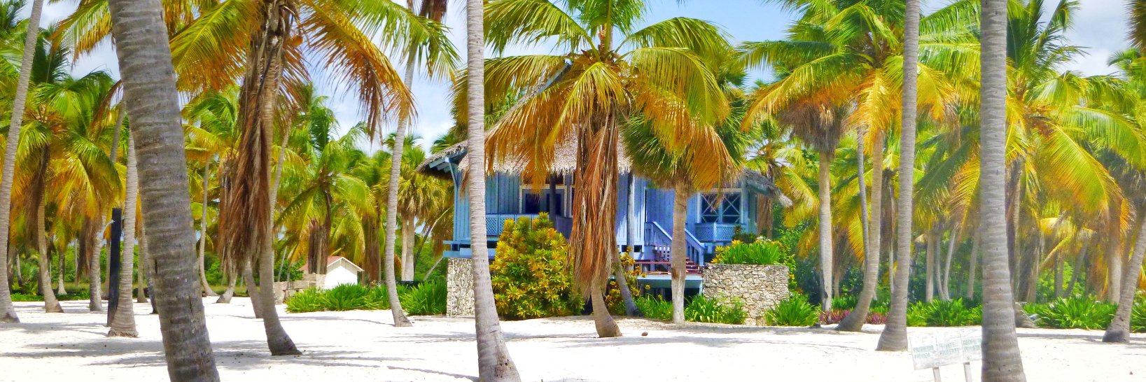 Ismael Sánchez banner