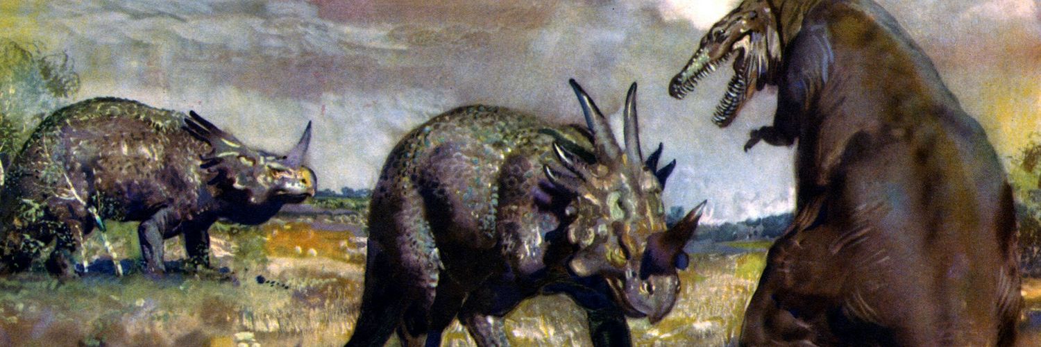 AlexeyRaptor's profile banner image
