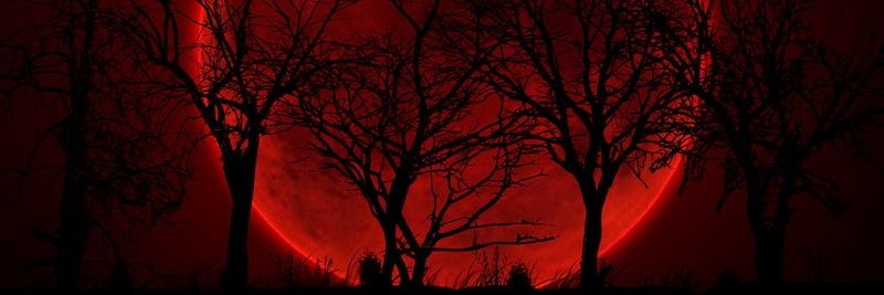 RayAnugrh's profile banner image