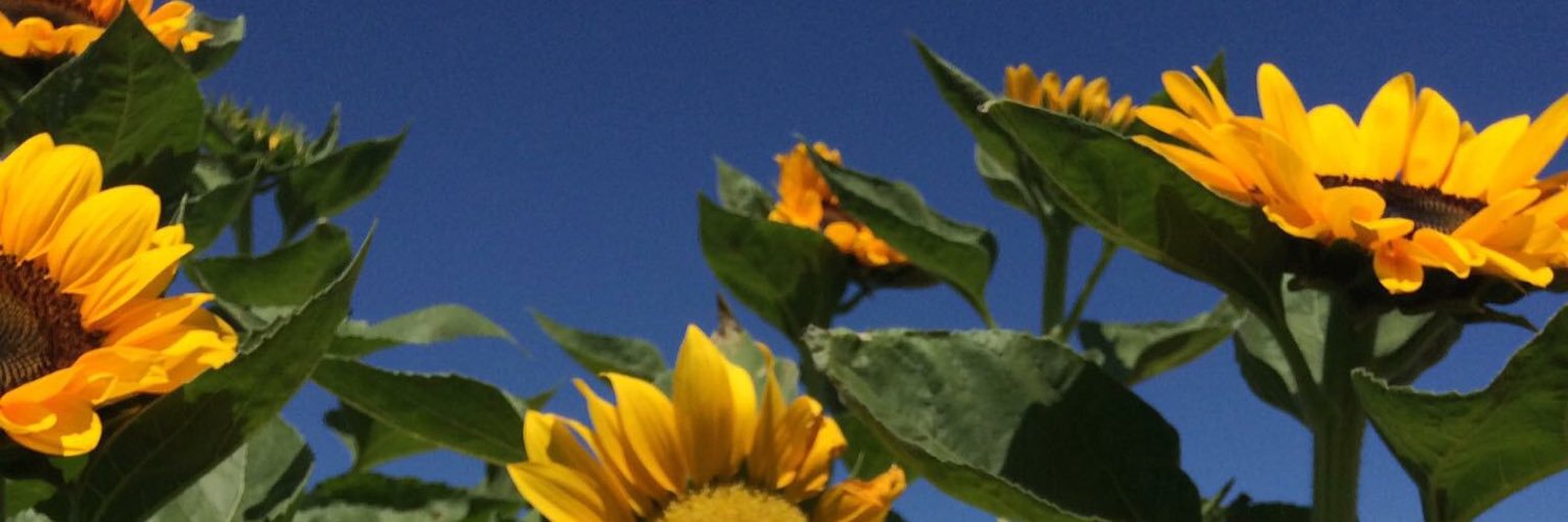 zaammyyy's profile banner image
