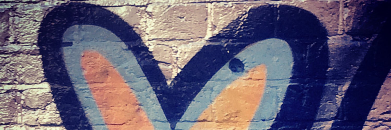 Vixtionary's profile banner image