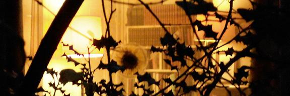 Maggie Watson banner