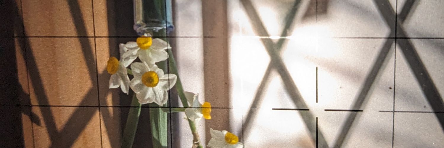 dentacrou's profile banner image