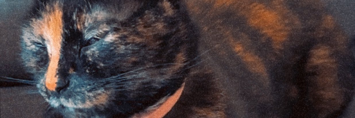 flowwriderr's profile banner image