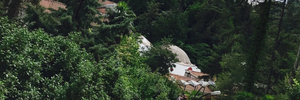 SuzMustafa's profile banner image