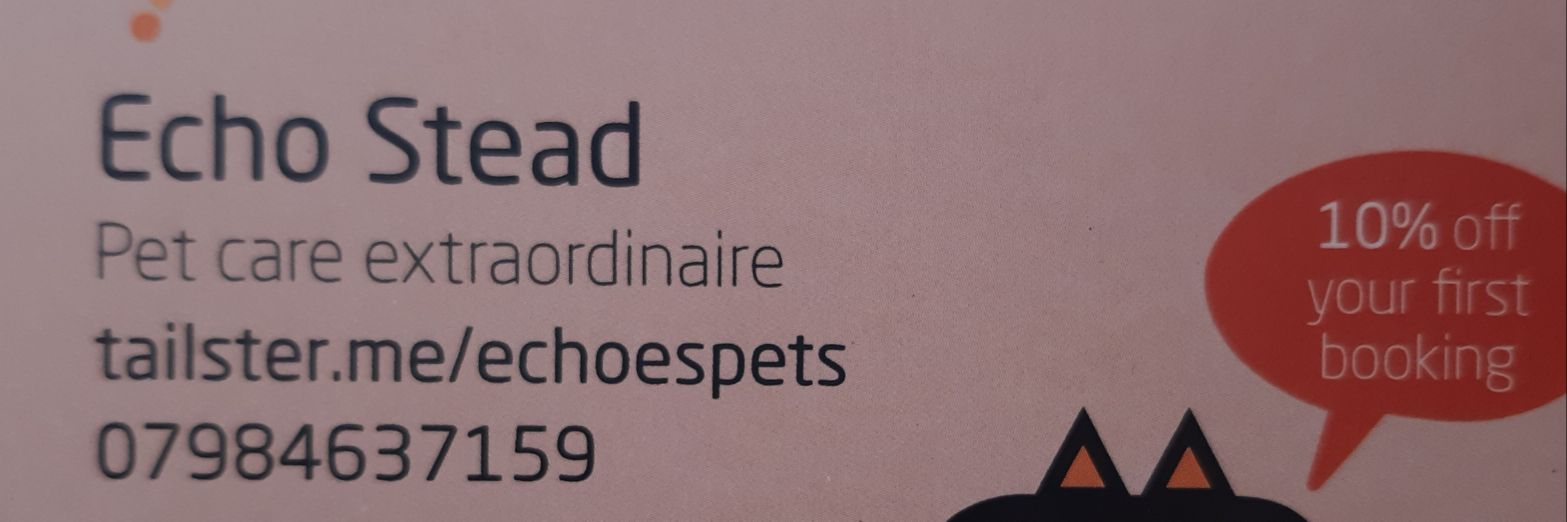 echostead's profile banner image