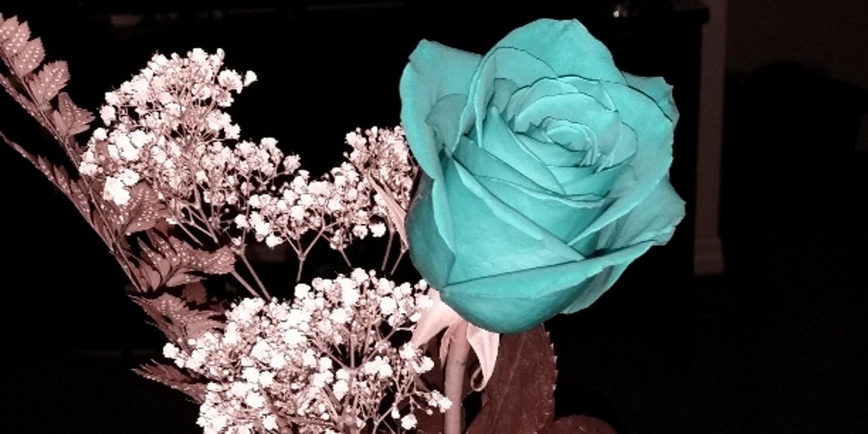 Dhasmore2say's profile banner image